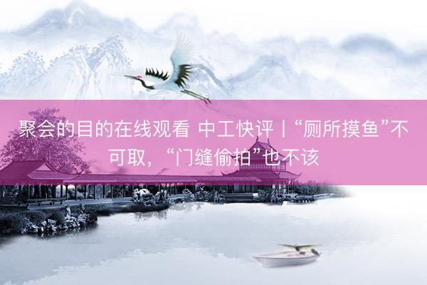 聚会的目的在线观看 中工快评丨“厕所摸鱼”不可取，“门缝偷拍”也不该