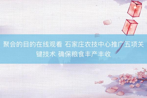 聚会的目的在线观看 石家庄农技中心推广五项关键技术 确保粮食丰产丰收