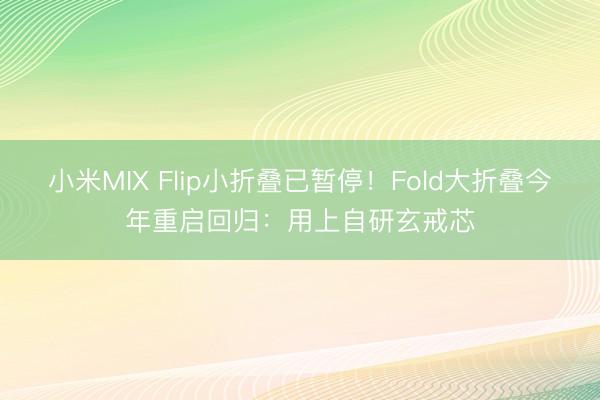 小米MIX Flip小折叠已暂停！Fold大折叠今年重启回归：用上自研玄戒芯