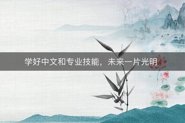 学好中文和专业技能，未来一片光明 