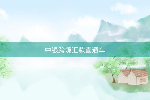中银跨境汇款直通车