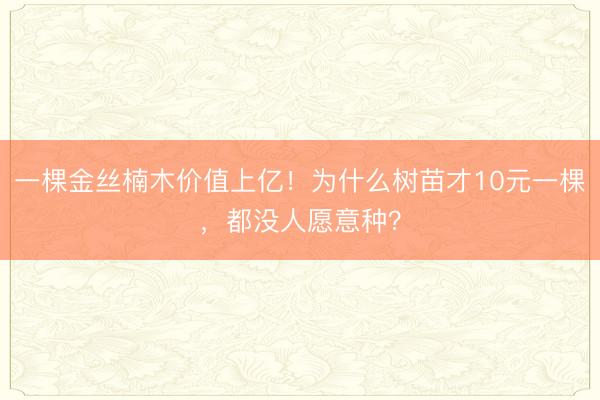 一棵金丝楠木价值上亿！为什么树苗才10元一棵，都没人愿意种？