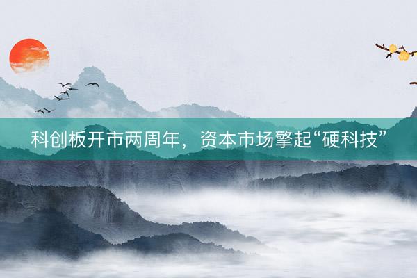 科创板开市两周年，资本市场擎起“硬科技”