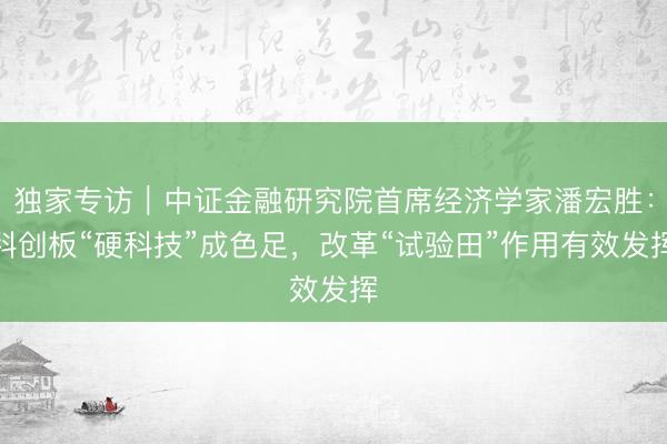 独家专访｜中证金融研究院首席经济学家潘宏胜：科创板“硬科技”成色足，改革“试验田”作用有效发挥