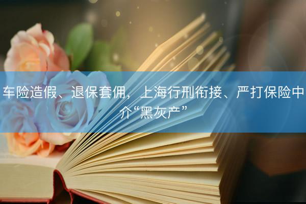 车险造假、退保套佣，上海行刑衔接、严打保险中介“黑灰产”