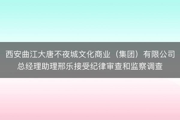 西安曲江大唐不夜城文化商业（集团）有限公司总经理助理邢乐接受纪律审查和监察调查