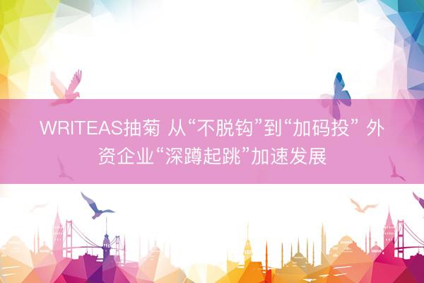 WRITEAS抽菊 从“不脱钩”到“加码投” 外资企业“深蹲起跳”加速发展