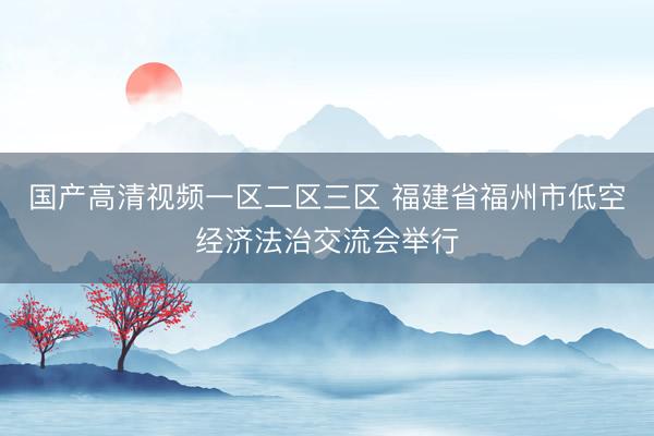 国产高清视频一区二区三区 福建省福州市低空经济法治交流会举行