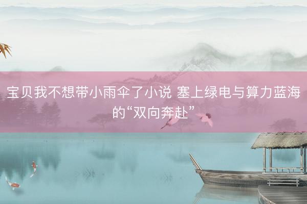 宝贝我不想带小雨伞了小说 塞上绿电与算力蓝海的“双向奔赴”