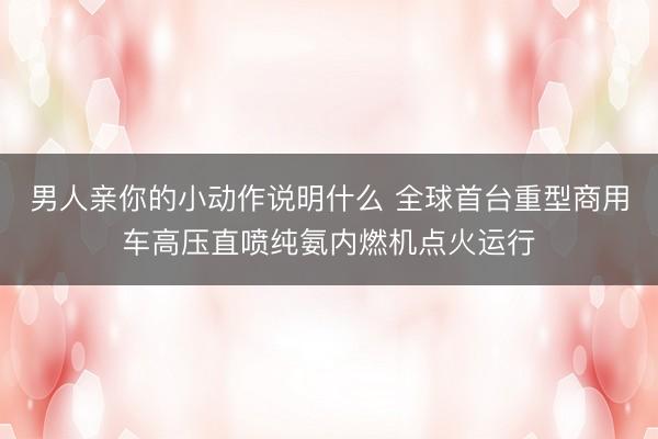 男人亲你的小动作说明什么 全球首台重型商用车高压直喷纯氨内燃机点火运行