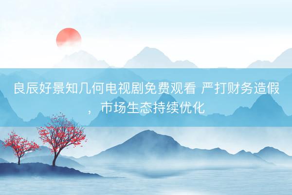 良辰好景知几何电视剧免费观看 严打财务造假，市场生态持续优化