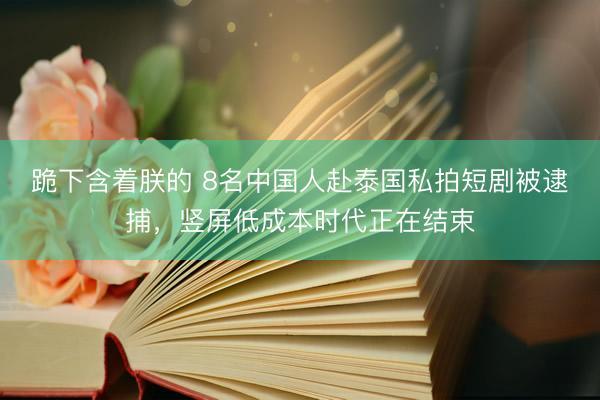 跪下含着朕的 8名中国人赴泰国私拍短剧被逮捕，竖屏低成本时代正在结束