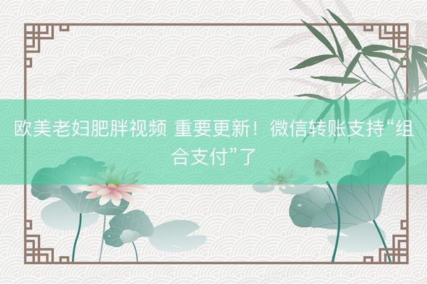 欧美老妇肥胖视频 重要更新！微信转账支持“组合支付”了
