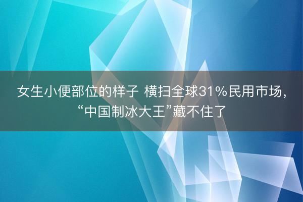 女生小便部位的样子 横扫全球31%民用市场，“中国制冰大王”藏不住了