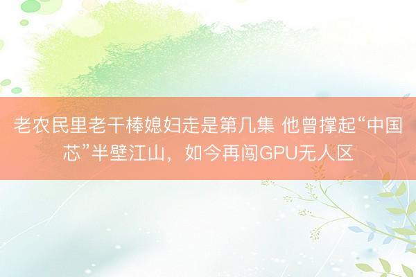 老农民里老干棒媳妇走是第几集 他曾撑起“中国芯”半壁江山，如今再闯GPU无人区