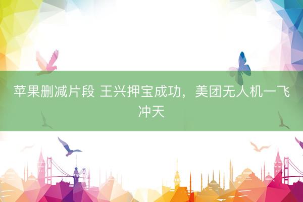 苹果删减片段 王兴押宝成功，美团无人机一飞冲天