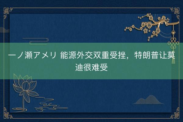 一ノ瀬アメリ 能源外交双重受挫，特朗普让莫迪很难受