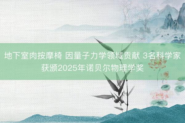 地下室肉按摩椅 因量子力学领域贡献 3名科学家获颁2025年诺贝尔物理学奖
