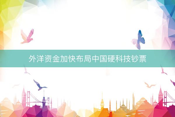 外洋资金加快布局中国硬科技钞票