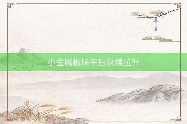 小金属板块午后执续拉升