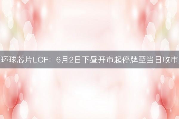 环球芯片LOF：6月2日下昼开市起停牌至当日收市