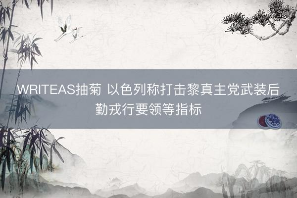 WRITEAS抽菊 以色列称打击黎真主党武装后勤戎行要领等指标