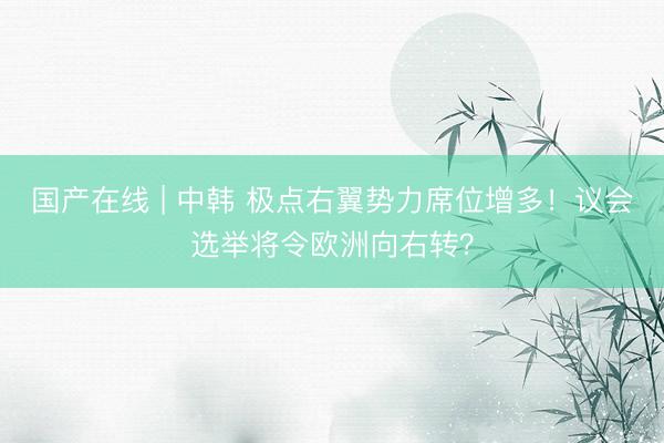 国产在线 | 中韩 极点右翼势力席位增多！议会选举将令欧洲向右转？
