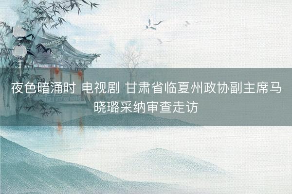 夜色暗涌时 电视剧 甘肃省临夏州政协副主席马晓璐采纳审查走访