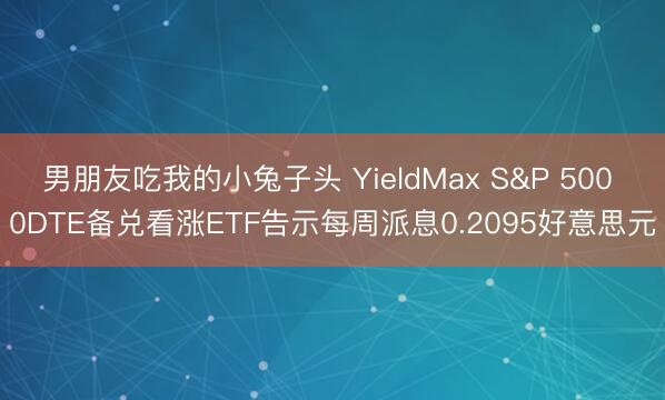 男朋友吃我的小兔子头 YieldMax S&P 500 0DTE备兑看涨ETF告示每周派息0.2095好意思元
