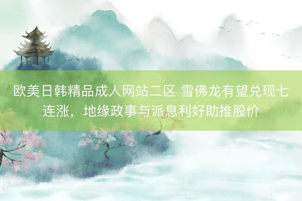 欧美日韩精品成人网站二区 雪佛龙有望兑现七连涨，地缘政事与派息利好助推股价