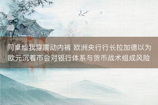 同桌给我穿震动内裤 欧洲央行行长拉加德以为欧元沉着币会对银行体系与货币战术组成风险