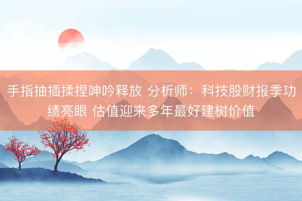 手指抽插揉捏呻吟释放 分析师：科技股财报季功绩亮眼 估值迎来多年最好建树价值
