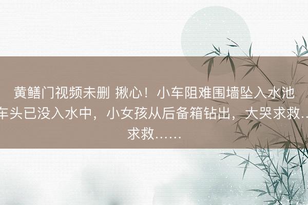 黄鳝门视频未删 揪心！小车阻难围墙坠入水池，车头已没入水中，小女孩从后备箱钻出，大哭求救……