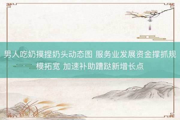 男人吃奶摸捏奶头动态图 服务业发展资金撑抓规模拓宽 加速补助蹧跶新增长点