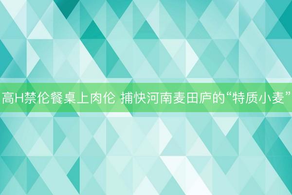 高H禁伦餐桌上肉伦 捕快河南麦田庐的“特质小麦”