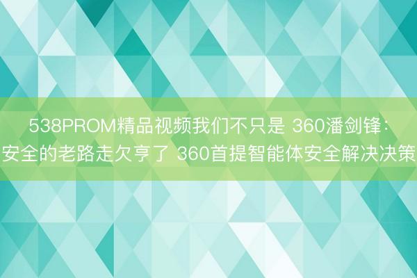 538PROM精品视频我们不只是 360潘剑锋：安全的老路走欠亨了 360首提智能体安全解决决策