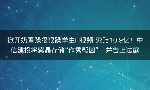 掀开奶罩躁狠狠躁学生H视频 索赔10.9亿!中信建投将紫晶存储“作秀帮凶”一并告上法庭