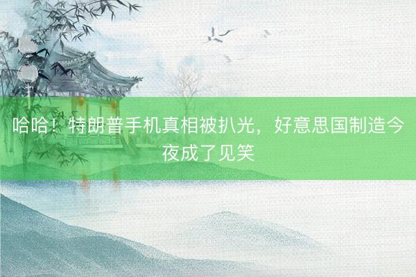 哈哈！特朗普手机真相被扒光，好意思国制造今夜成了见笑