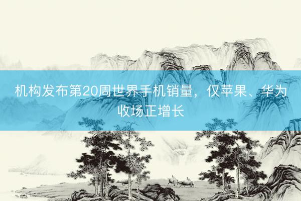 机构发布第20周世界手机销量，仅苹果、华为收场正增长
